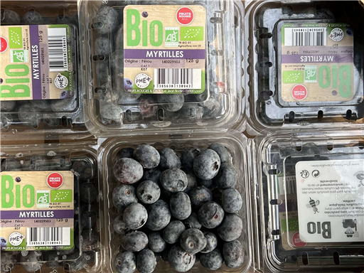 Organic Blueberries 125g