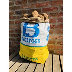 Potatoes Sagitta 25kg Sack