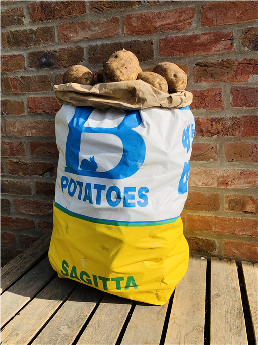 Potatoes Sagitta 25kg Sack