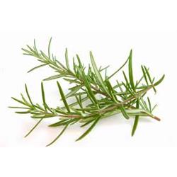 Herb Rosemary 20g (Herbs Unlimited)