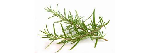 Herb Rosemary 20g (Herbs Unlimited)