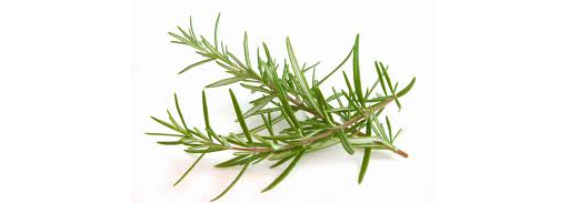 Herb Rosemary 20g (Herbs Unlimited)