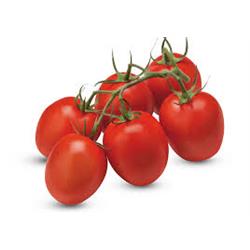 Tomatoes Plum vine Pack