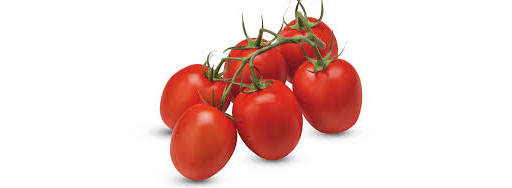 Tomatoes Plum vine Pack
