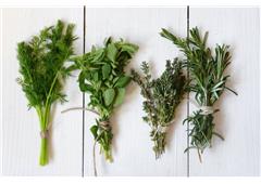 Herbs