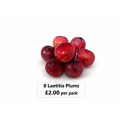 Laetitia Red Plum Pack - Special Offer