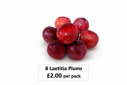 Laetitia Red Plum Pack - Special Offer