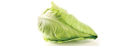 Cabbage Hispi