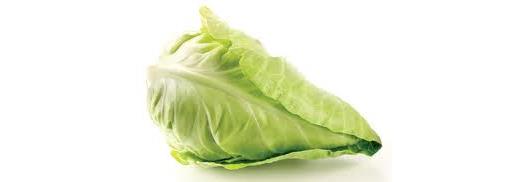 Cabbage Hispi - NEW SEASON ENGLISH