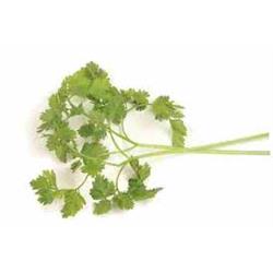 Herb Chervil 20g