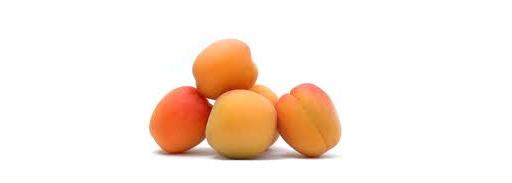Apricots
