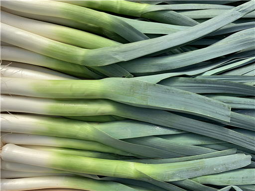 Organic Leeks 500g