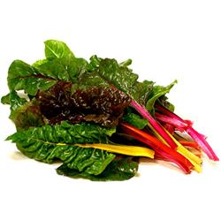 Rainbow Chard