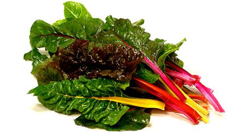 Rainbow Chard