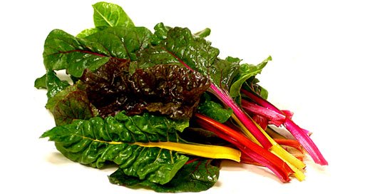 Rainbow Chard