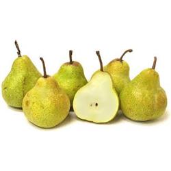 Pear Packham Pack