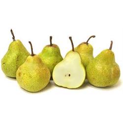 Pear William
