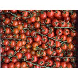 Organic Cherry Vine Tomatoes 250g