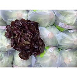 Organic Oakleaf Lettuce