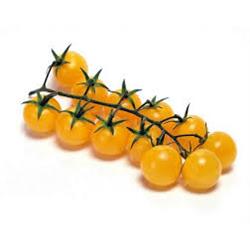 Tomatoes English Yellow Cherry-Vine
