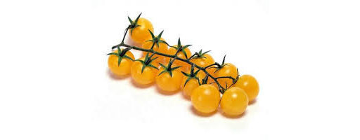 Tomatoes English Yellow Cherry-Vine