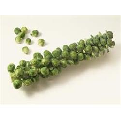 Sprouts on the Stalk