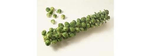 Sprouts on the Stalk