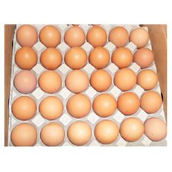 Eggs Medium - Tray of 30