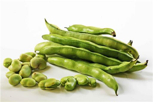 Broad Beans(FIRST OF THE SEASON)