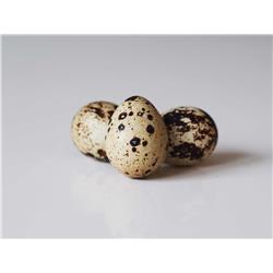 Eggs Quail X 12