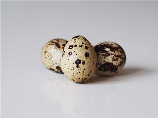 Eggs Quail X 12