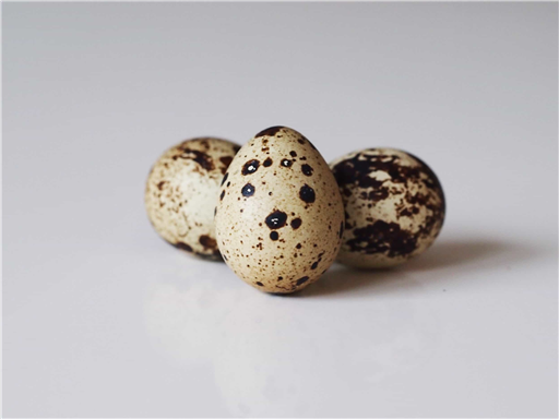 Eggs Quail X 12