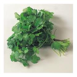 Herb Coriander 20g (Herbs Unlimited)