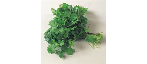 Herb Coriander 20g