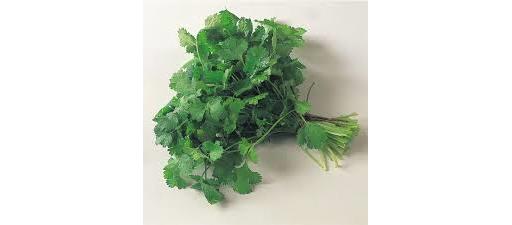 Herb Coriander 20g (Herbs Unlimited)