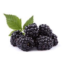 Blackberries