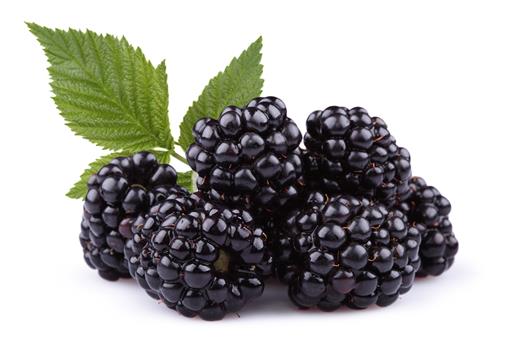 Blackberries