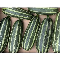 Organic Marrow