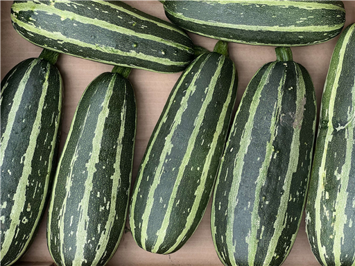 Organic Marrow