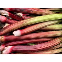 Organic Rhubarb