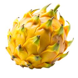 Dragon Fruit Yellow