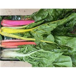 Organic Rainbow Chard