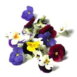 Edible Flowers