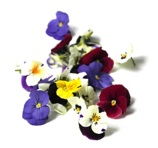 Edible Flowers