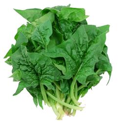 Organic Spinach 200g