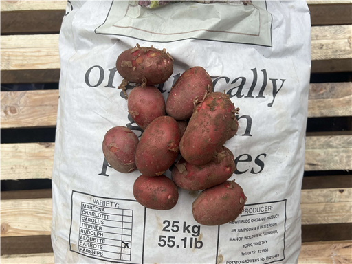 Organic Red Alouette Potatoes (New Crop)