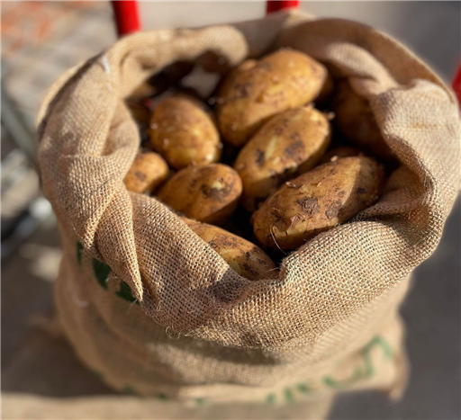 Potatoes New Majorcan