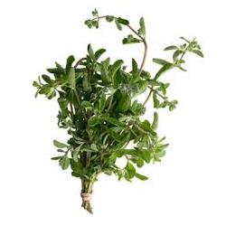 Herb Marjoram 20g