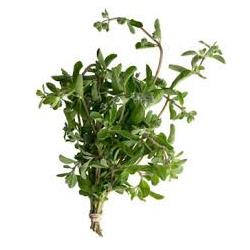 Herb Marjoram 20g (Herbs Unlimited)