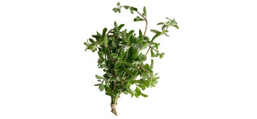 Herb Marjoram 20g